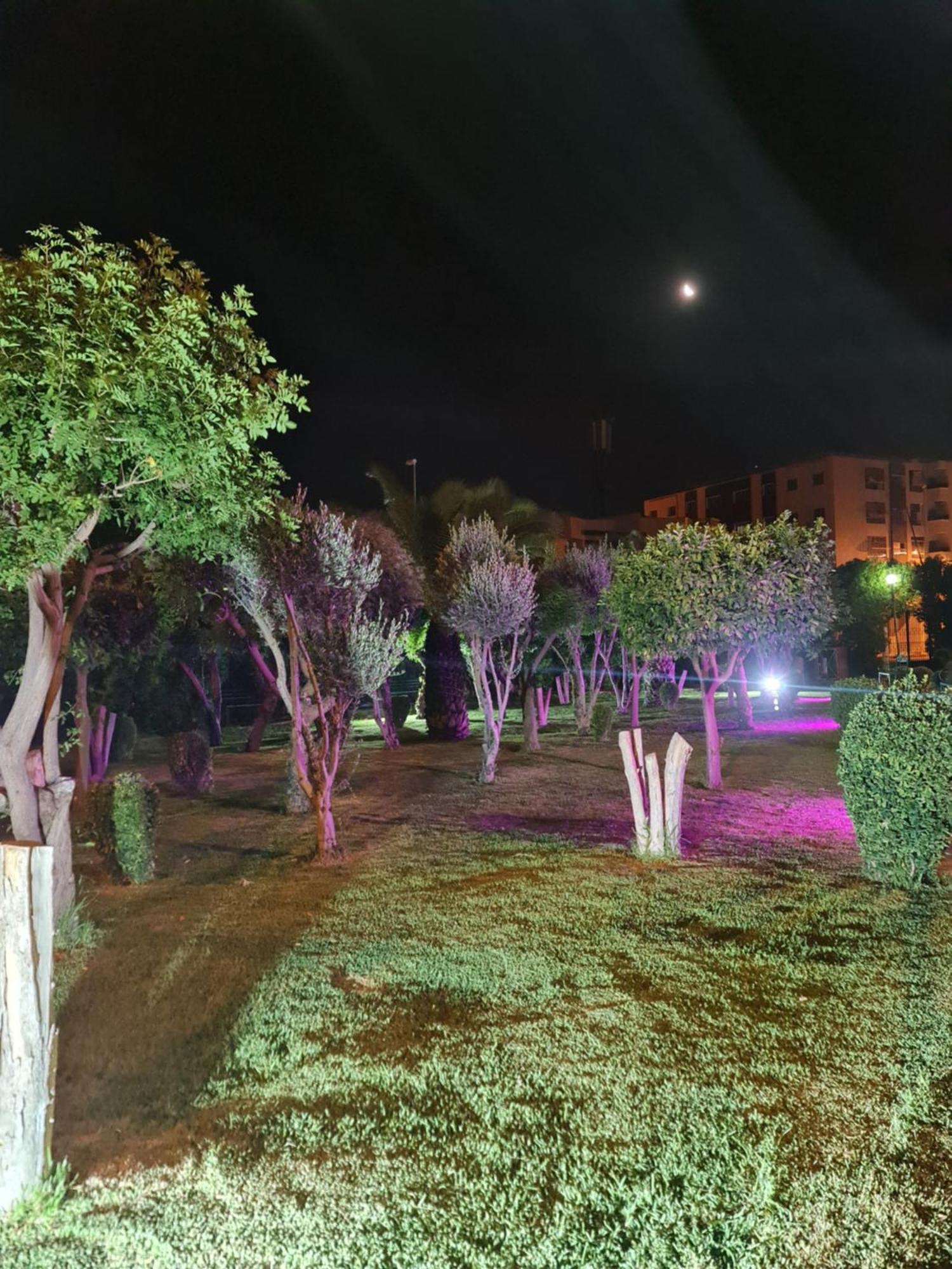 Fes Urban Apartment - Urban Elegance With Garden And Pool Access Dış mekan fotoğraf